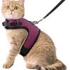 Kattentuigje Met Leiband Riem Kattenharnas Paars Maat L Kat & Kitten – Dieren Kattenriem – Cat Leash – Halsomvang 24 Tot 33cm – Borstomvang 36 Tot 41cm – Zootic® -Flamingo Winkel 1065x1200