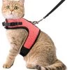 Kattentuigje Met Leiband Riem Kattenharnas Roze Maat L Kat & Kitten โ Dieren Kattenriem โ Cat Leash โ Halsomvang 24 Tot 33cm โ Borstomvang 36 Tot 41cm โ Zooticยฎ 1 Kattentuigje Met Leiband Riem Kattenharnas Roze Maat L Kat & Kitten โ Dieren Kattenriem โ Cat Leash โ Halsomvang 24 Tot 33cm โ Borstomvang 36 Tot 41cm โ Zooticยฎ -Flamingo Winkel 1065x1200 4