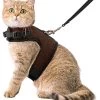 Kattentuigje Met Leiband Riem Kattenharnas Bruin Maat L Kat & Kitten – Dieren Kattenriem – Cat Leash – Halsomvang 24 Tot 33cm – Borstomvang 36 Tot 41cm – Zootic® -Flamingo Winkel 1065x1200 6