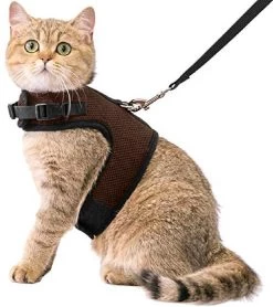 Kattentuigje Met Leiband Riem Kattenharnas Bruin Maat L Kat & Kitten – Dieren Kattenriem – Cat Leash – Halsomvang 24 Tot 33cm – Borstomvang 36 Tot 41cm – Zootic®
