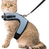 Kattentuigje Met Leiband Riem Kattenharnas Blauw Variant Maat M Kat & Kitten – Dieren Kattenriem – Cat Leash – Halsomvang 20 Tot 26cm – Borstomvang 30 Tot 34cm – Zootic® -Flamingo Winkel 1065x1200 9