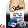 Sheba – Delices Du Jour Vis In Gelei – Kattenvoer – 6 Verpakkingen Van 6x50g -Flamingo Winkel 1176x1200