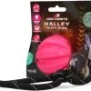 Dog Comets Ball Halley Met Touw Hondenspeeltje – Duurzaam Honden Speelgoed – Stevige Honden Bal – Rubberen Bal – Geschikt Voor Honden – Hondenbal Voor Gezonder Tandvlees – Roze – 6 Diameter 2 Dog Comets Ball Halley Met Touw Hondenspeeltje – Duurzaam Honden Speelgoed – Stevige Honden Bal – Rubberen Bal – Geschikt Voor Honden – Hondenbal Voor Gezonder Tandvlees – Roze – 6 Diameter -Flamingo Winkel 1200x1030