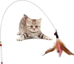 Speelhengel Kat – Kattenhengel – Belletje – Veren – Hengel Voor Kat – Kattenspeeltje