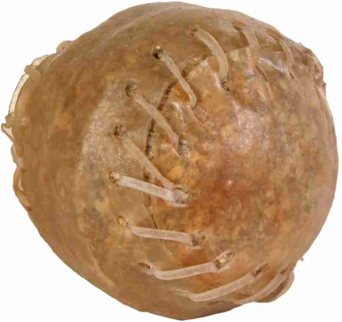 Trixie Kauwbal ø 8 Cm 3 Trixie Kauwbal ø 8 Cm