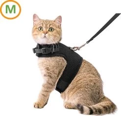 Zootic Kattentuigje Met Leiband Riem Kattenharnas Zwart Maat M Kat & Kitten – Halsomvang 20 Tot 26cm – Borstomvang 30 Tot 34cm