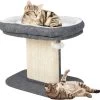 COSTWAY Krabpaal Klein, 50 Cm Hoog, Kattenboom Met Zacht Pluche Zitvlak En Sisal Krabpaal En Bal, Kattenkrabpaal Hout, Kattenmeubel, Klimboom, Activiteitsboom, Speelboom, Grijs -Flamingo Winkel 1200x1166