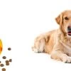 Honden Speelgoed – Hondenspeeltjes – Hondenbal – Hondenspeelgoed – Honden Speelgoed Intelligentie – Honden Bal – Snackbal Hond – Kauwspeelgoed Hond – Oranje – 7 Cm