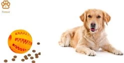 Honden Speelgoed – Hondenspeeltjes – Hondenbal – Hondenspeelgoed – Honden Speelgoed Intelligentie – Honden Bal – Snackbal Hond – Kauwspeelgoed Hond – Oranje – 7 Cm