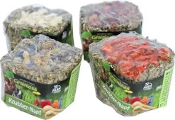 JR Farm Knaagdier Grainless Knabbelpotje 75 Gram