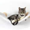 Kattenhangmat Voor Wandmontage, Eco Kattenbed, Kattenhangmat Voor Aan De Muur, Voor Het Verlengen Van Een Klimmuur, Kattentrap, Wandbed, Wandligstoel, Kattenligstoel, Klimlandschap, Slaapplaatsen Voor Katten 1 Kattenhangmat Voor Wandmontage, Eco Kattenbed, Kattenhangmat Voor Aan De Muur, Voor Het Verlengen Van Een Klimmuur, Kattentrap, Wandbed, Wandligstoel, Kattenligstoel, Klimlandschap, Slaapplaatsen Voor Katten -Flamingo Winkel 1200x829
