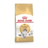 Royal Canin Norwegian Forest Cat Adult – Kattenvoer – 2 Kg -Flamingo Winkel 3182550825399 1