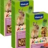 Vitakraft Konijn Kracker – Konijnensnack – 3 X Bosbessen -Flamingo Winkel 740x1200