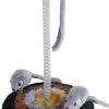 Speelset Voor Katten 26cm -Flamingo Winkel 752x1200