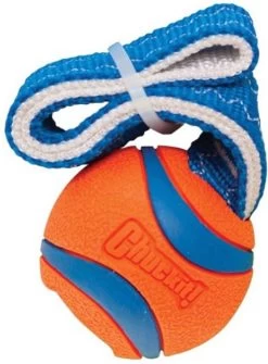 Chuckit! Chuckit Ultra Tug – Honden Apporteerspeelgoed – Honden Bal Small ø5cm – Geschikt Voor Middelgrote Honden – Drijft Op Water – Oranje/Blauw