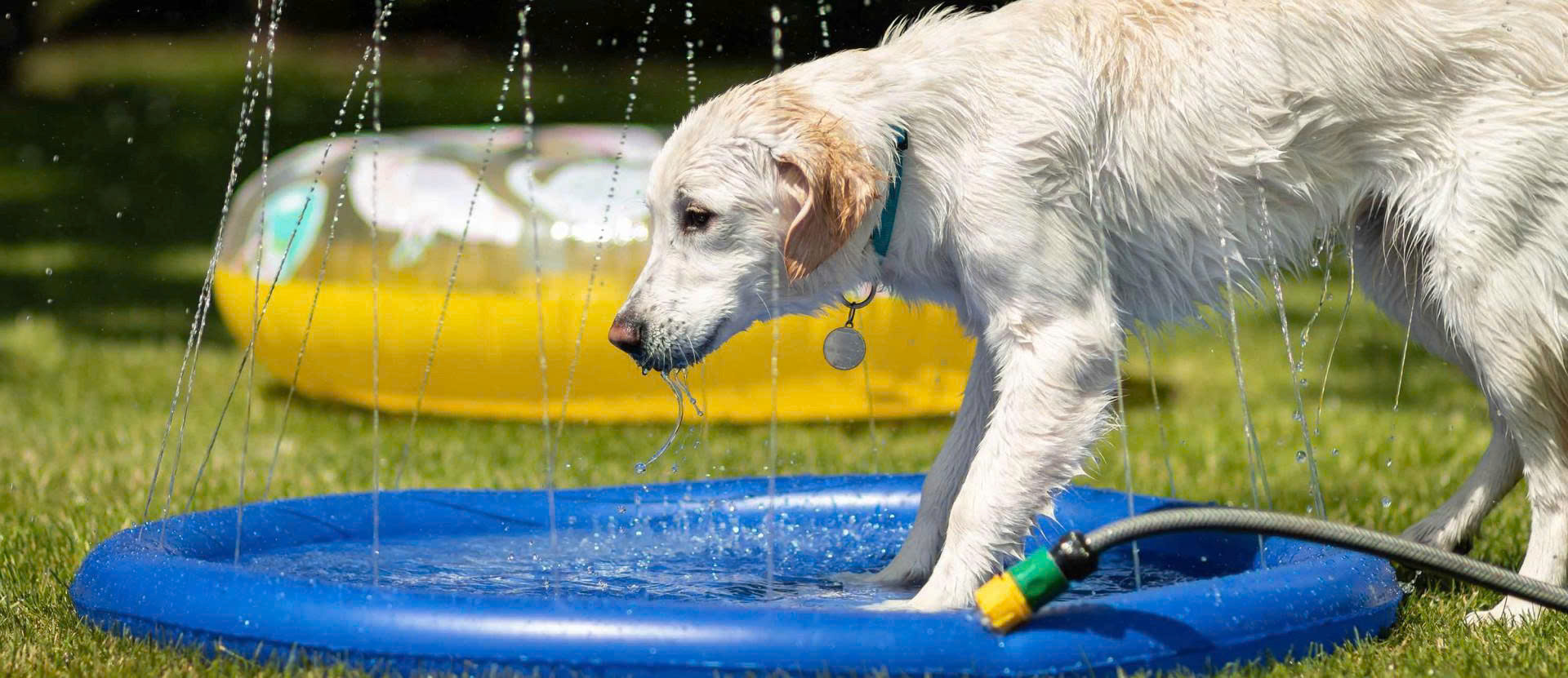 Flamingo Winkel -Flamingo Winkel z6692127061411 f1fd9e45ff0a4aace1acb6debfd35ea1 1